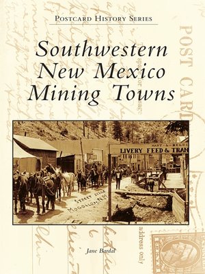 cover image of Southwestern New Mexico Mining Towns